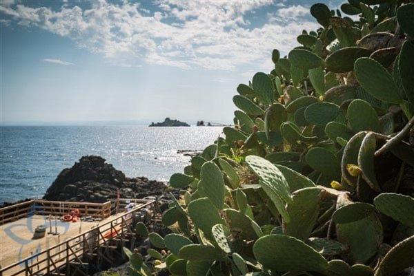 Serena Mulinia Garden Acireale Dış mekan fotoğraf